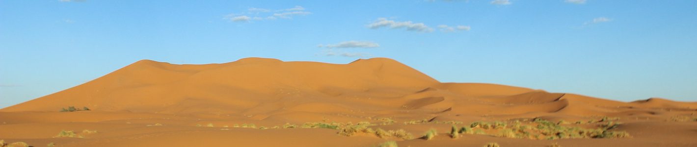 Desert dubai panorama